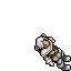Paladin