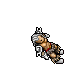 Cyrulik