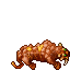 Predator