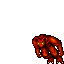 Image of Fire Devil