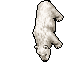 Image of Polar Bear
