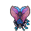 Hibernal Moth