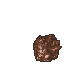 Meandering Mushroom