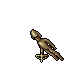 Mitmah Scout
