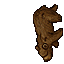 Old Bear