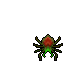 Old Spider