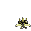 Old Wasp