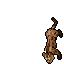 Monster Image