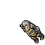 Draccoon Herald