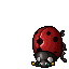 Monster Image
